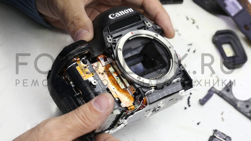 Сервис Canon 5D Mark 4