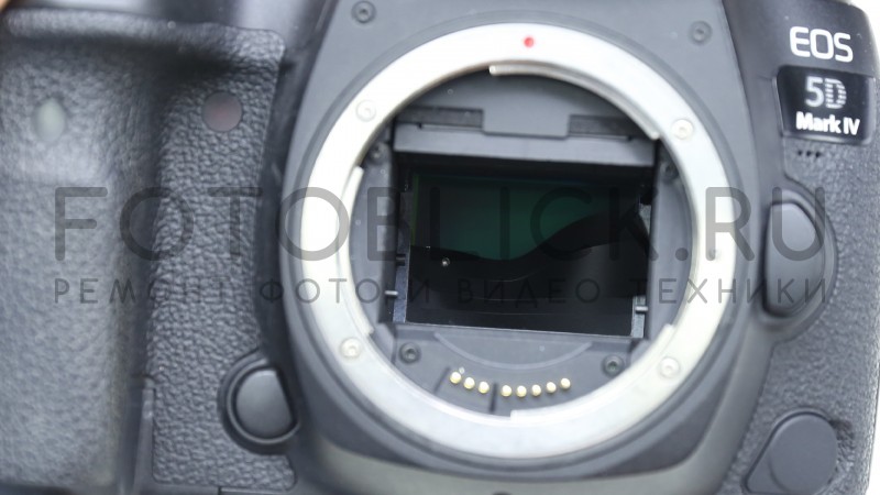 Замяты шторки Canon 5D Mark 4