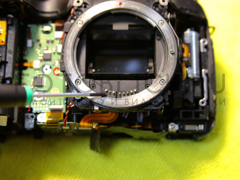 Штриховые контакты разъема байнета на Canon EOS 5D